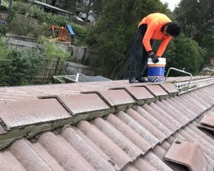 roof-repointing.jpg